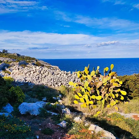 Corte Giara Di Casa Camilla Journey Alessano